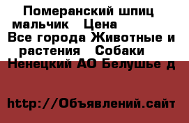 Померанский шпиц, мальчик › Цена ­ 35 000 - Все города Животные и растения » Собаки   . Ненецкий АО,Белушье д.